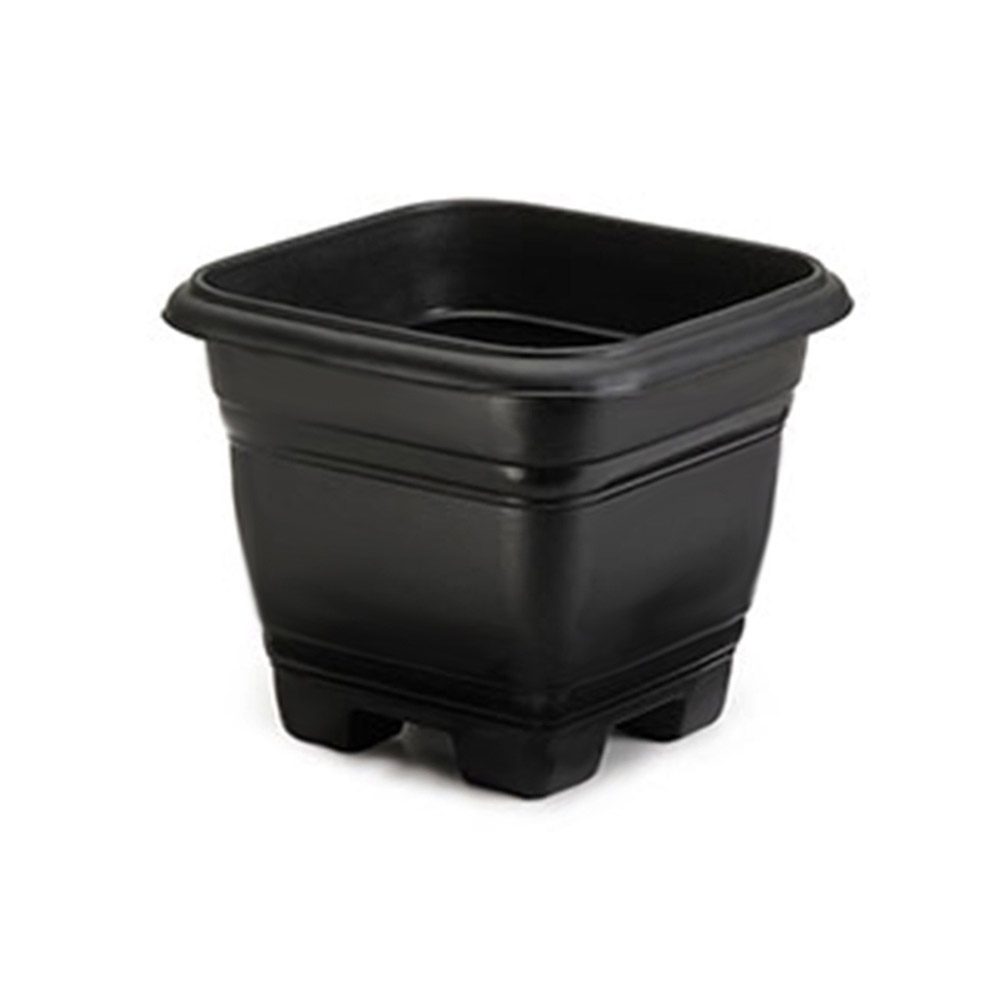 VASO QUAD N.22 PRETO REF.9249 RISCHIOTO