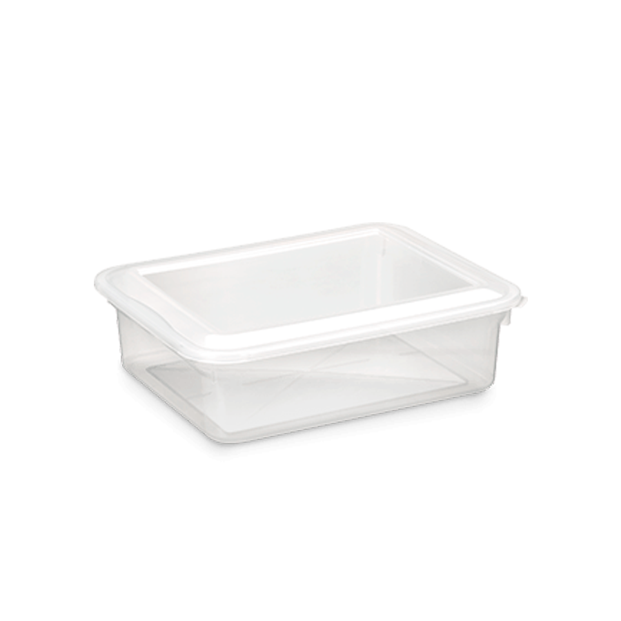 CAIXA 05LTS BIOPRATIK 33X22 REF.320 PLEION