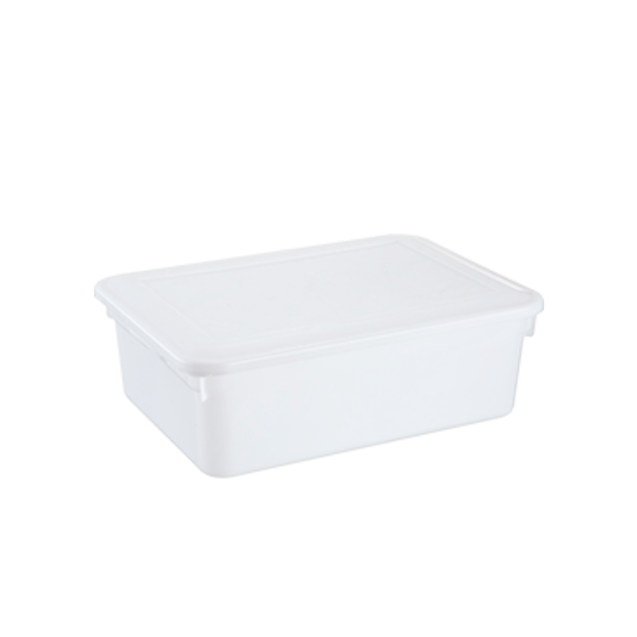 CAIXA 04LTS BIOPRATIK 29,6X23,5 REF.315 PLEION