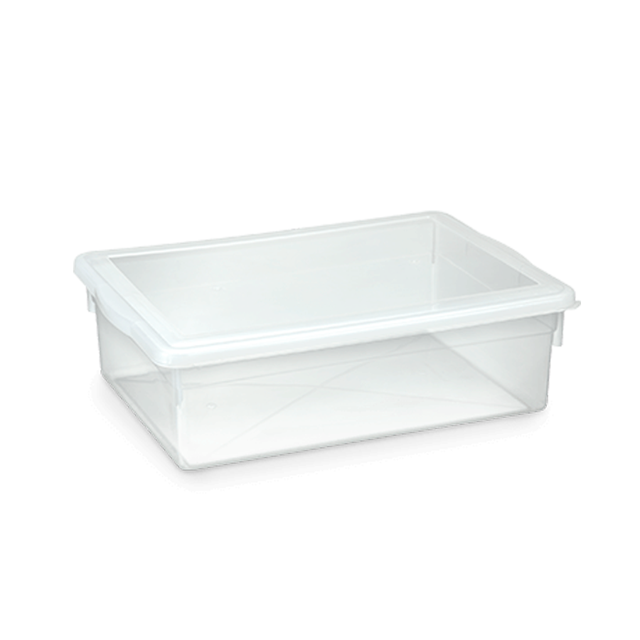 CAIXA 11LTS BIOPRATIK 41X29 REF.330 PLEION