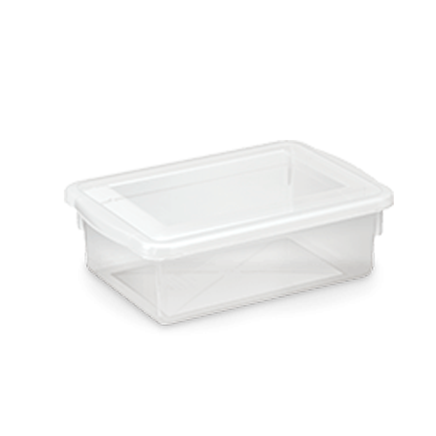 CAIXA 02,5LTS BIOPRATIK 25,8X17,8 REF.310 PLEION