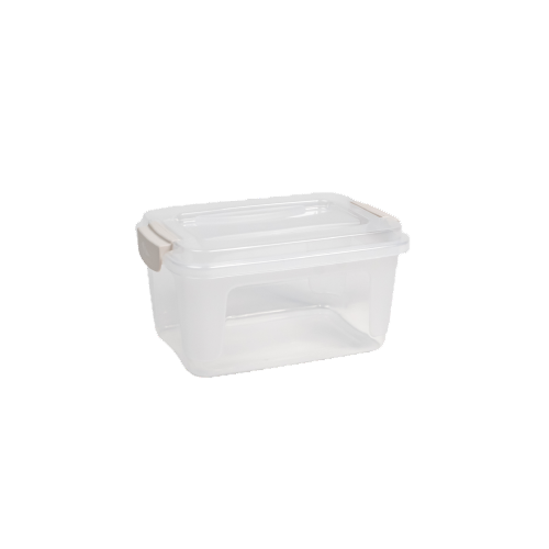 CAIXA ORGANIZADORA 03,2LTS REF.6119/119 RISCHIOTO