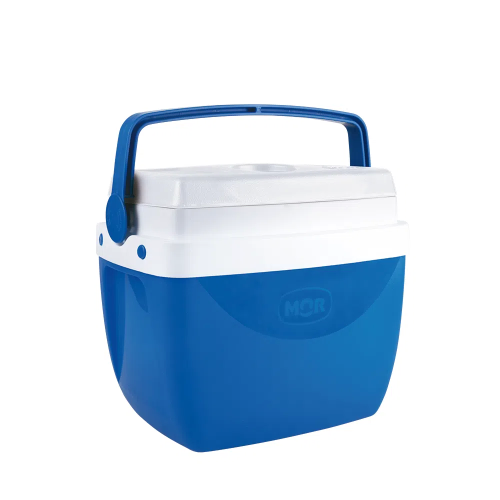 CAIXA TERMICA 06LTS AZUL MOR