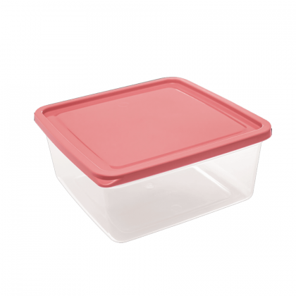 POTE PLAST QUAD 2,2LTS REF.3225 JAGUAR