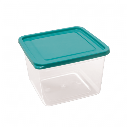 POTE PLAST QUAD 3,1LTS REF.3226 JAGUAR
