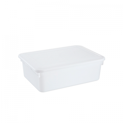 CAIXA 04LTS BIOPRATIK 29,6X23,5 REF.315 PLEION
