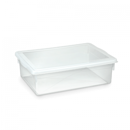 CAIXA 11LTS BIOPRATIK 41X29 REF.330 PLEION