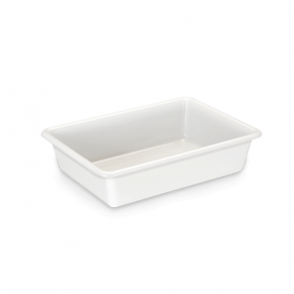 BANDEJA 03LTS BIOPRATIK 30X22 REF.727 PLEION